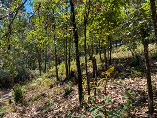 TERRENO EN VENTA|ENTORNO BOSCOSO|AVANDARO|VALLE DE BRAVO