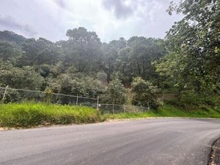 venta Terreno agicola $2,000,000,00 con arboles de aguacate produciendo