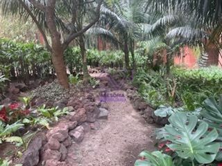 Departamento en Venta en Reforma, Colonia Tabacalera