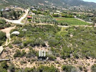 VENTA DE TERRENO EN VALLE DE GUADALUPE, 3410 M2. UN JARDÍN DE PLANTA NATIVA