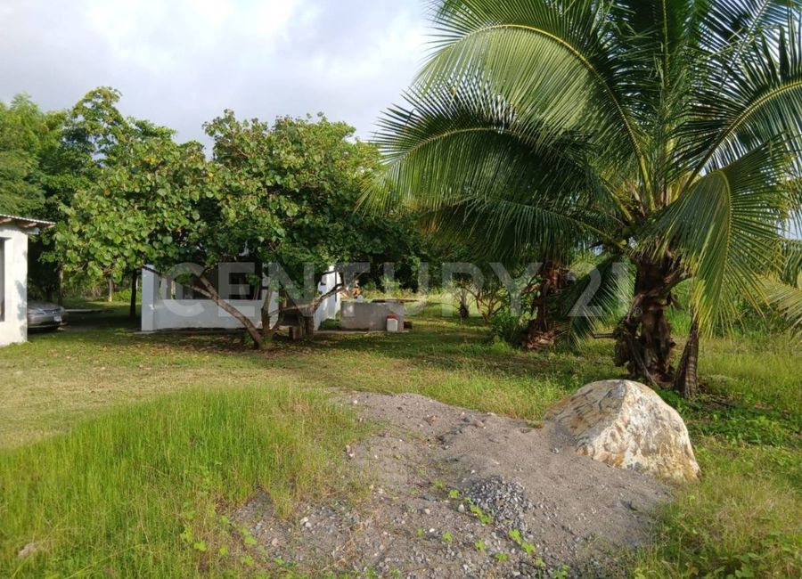 place photo 32