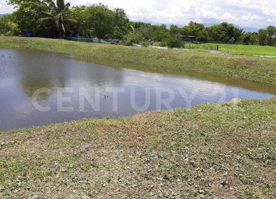place photo 38