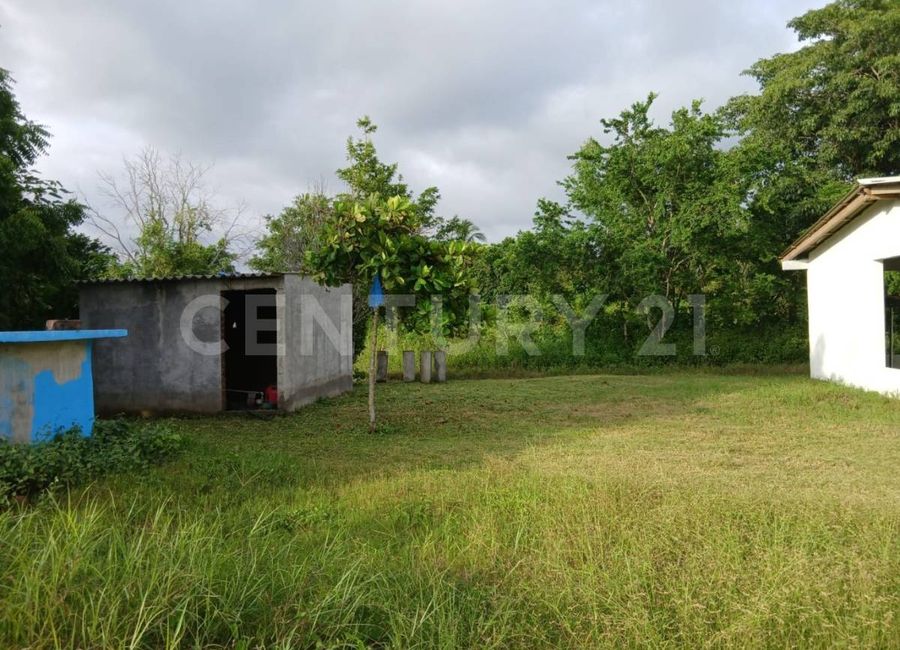 place photo 26
