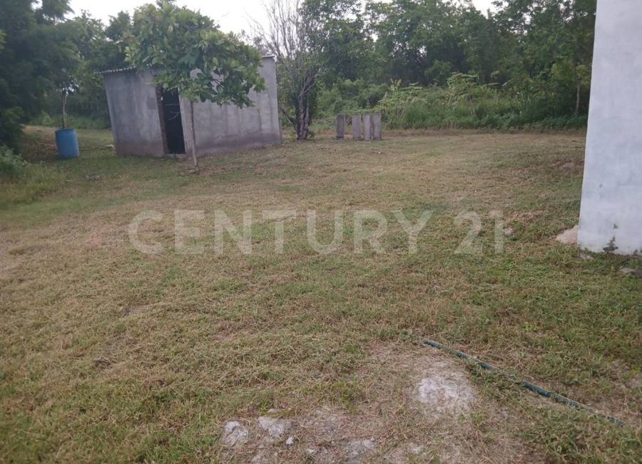 place photo 19