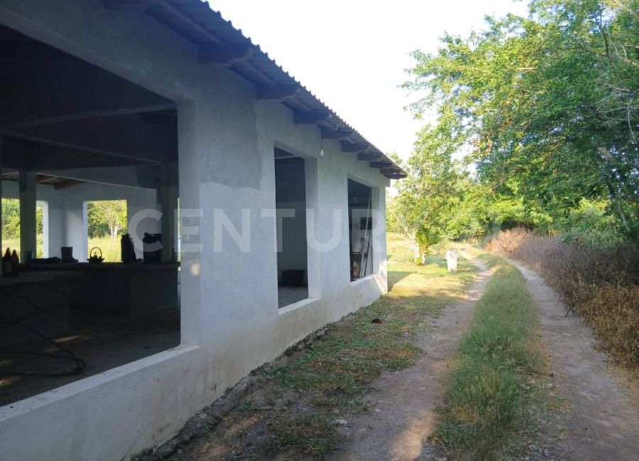 place photo 36