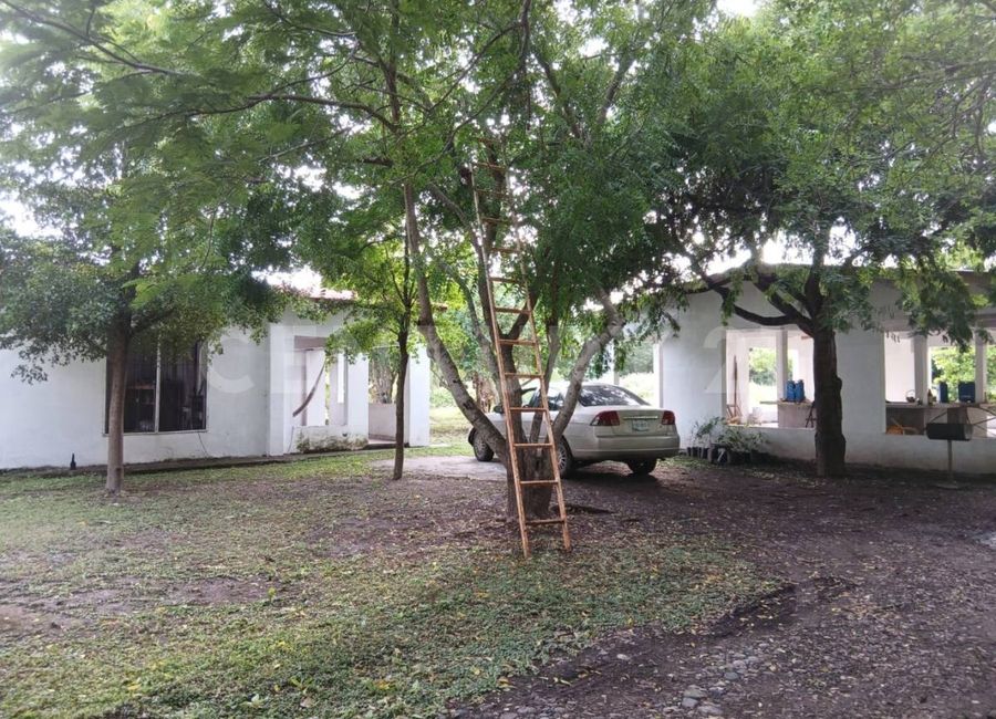 place photo 37