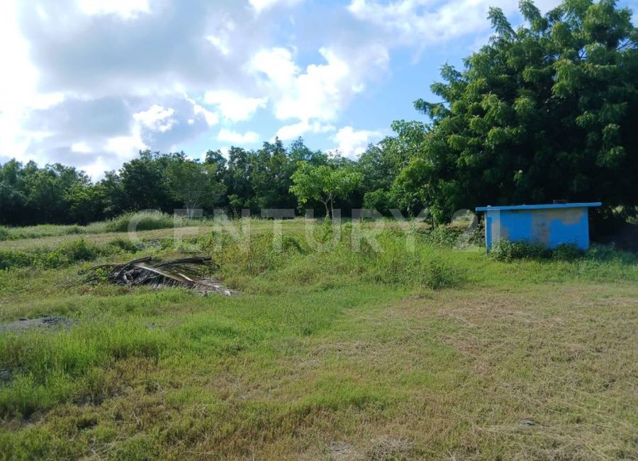 place photo 10