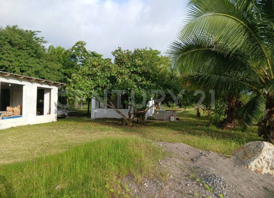 place photo 29