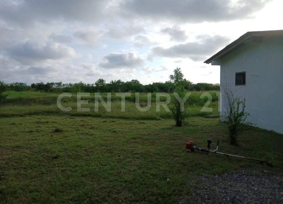 place photo 33