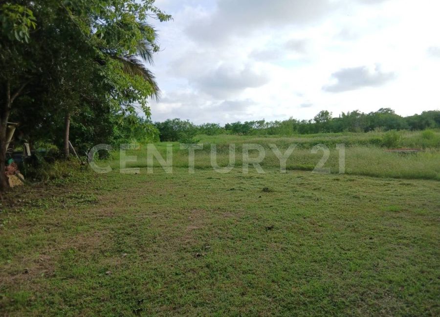 place photo 28