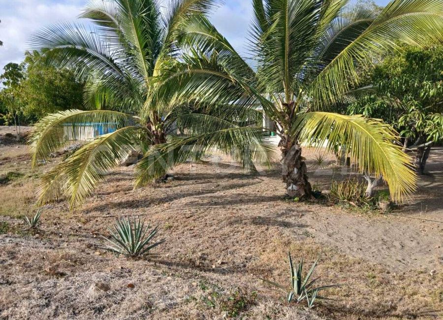 place photo 23