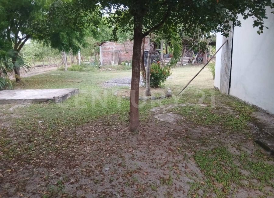 place photo 14