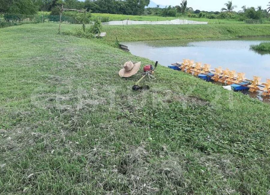 place photo 25