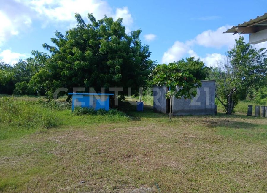 place photo 30