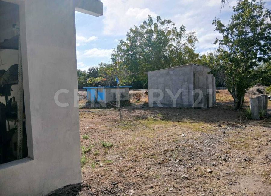 place photo 39