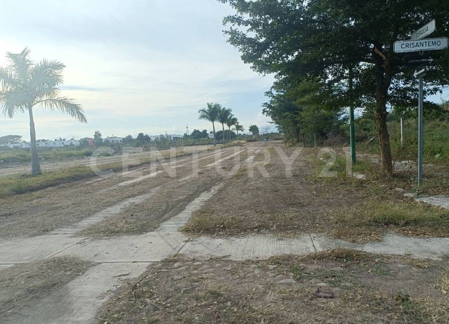 place photo 15