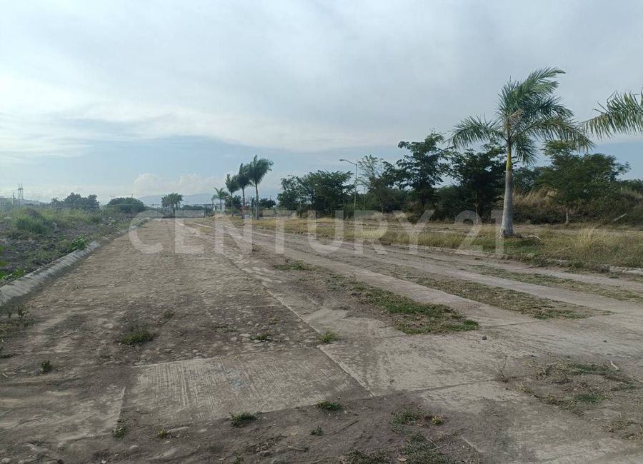 place photo 18