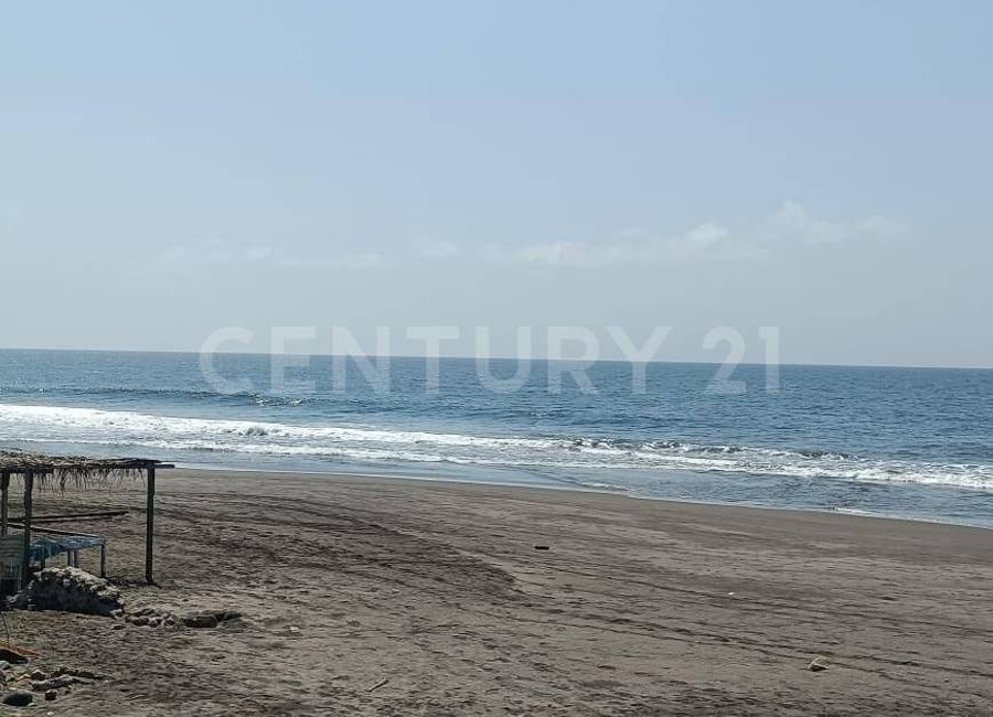 place photo 37