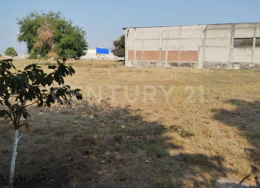 place photo 10