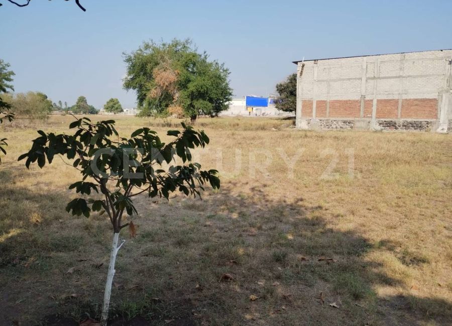 place photo 9