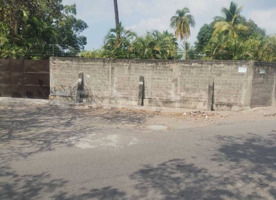 place photo 14