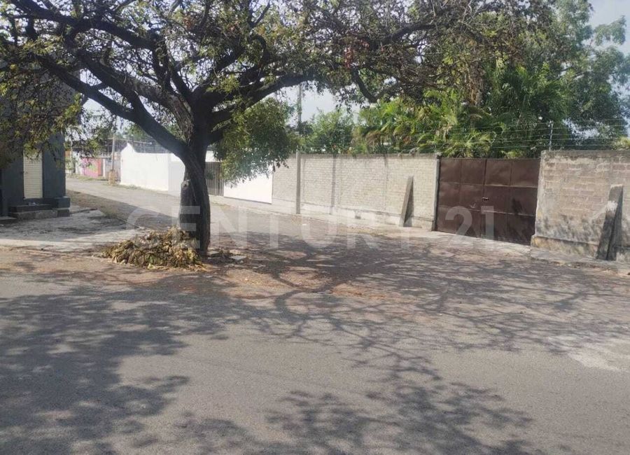 place photo 11