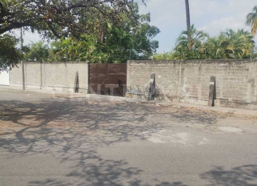 place photo 13