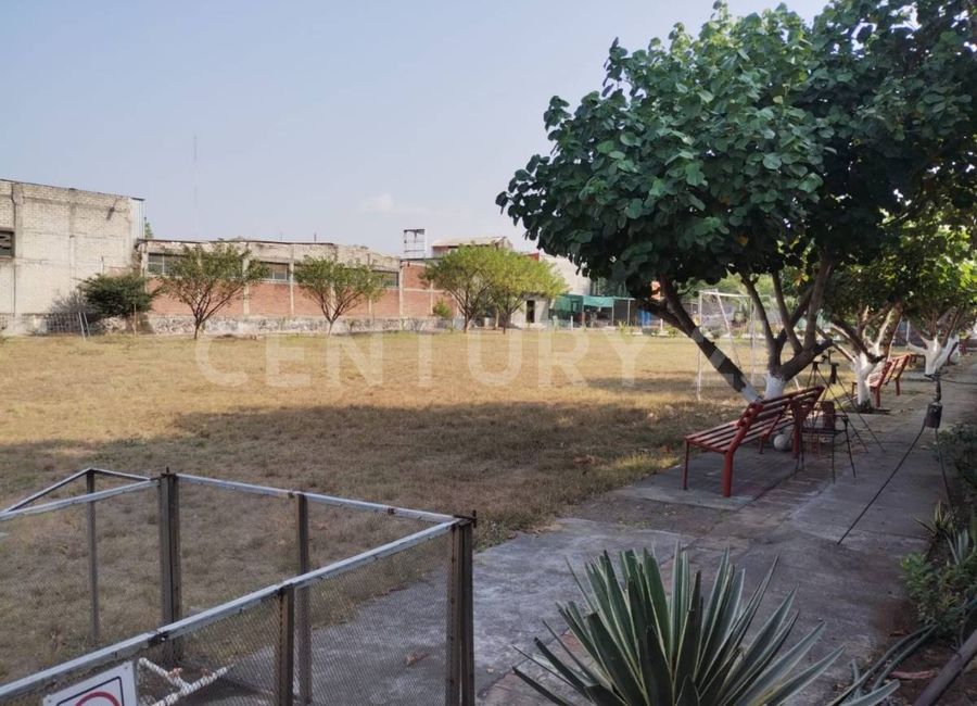 place photo 7