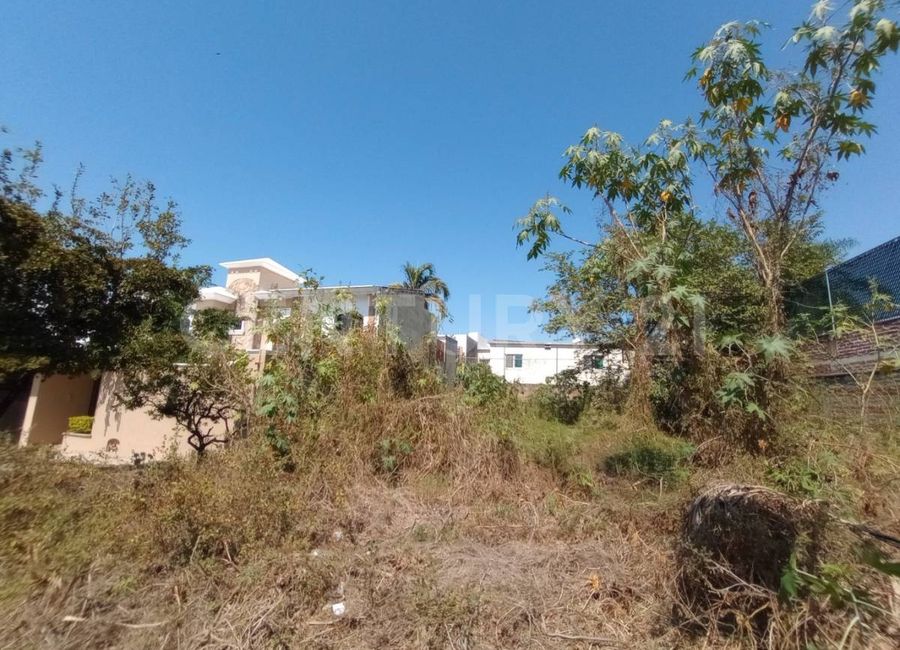 place photo 10