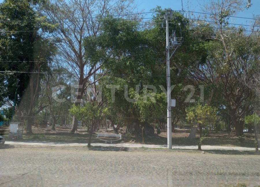 place photo 14