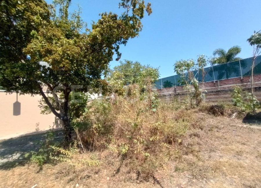 place photo 11
