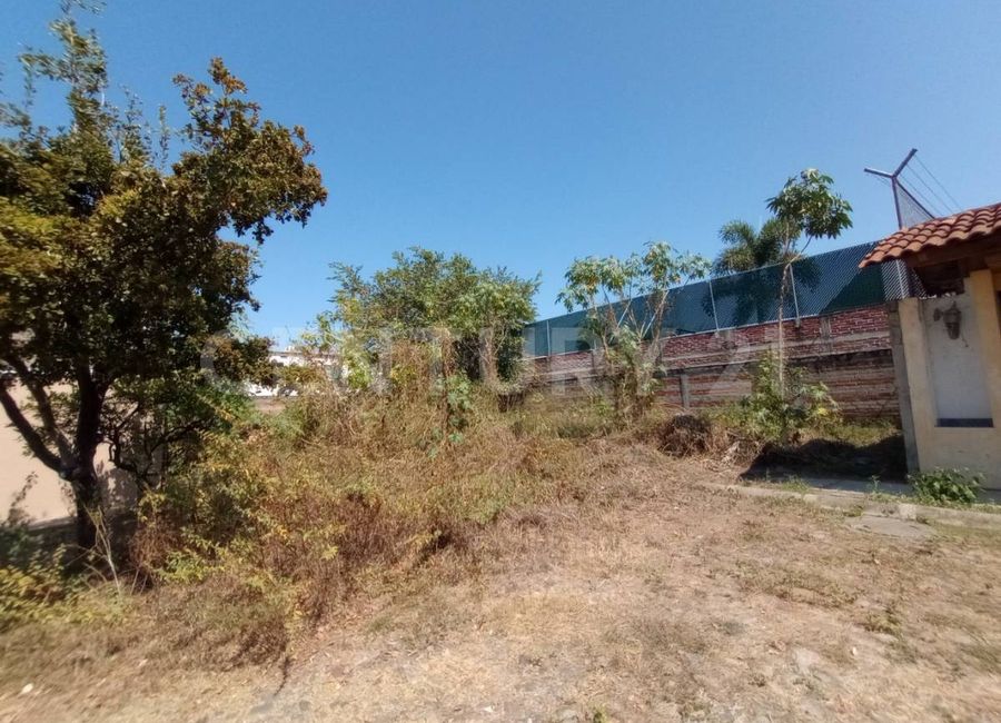 place photo 9