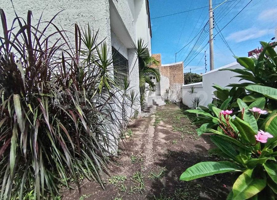 place photo 39