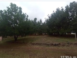 TERRENO EN ZACATLAN, PUEBLA  IDEAL PARA CABAÑA