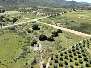 VENTA DE TERRENO EN EL ACCESO A SASSI DEL VALLE, VALLE DE GUADALUPE, 1.95 HA