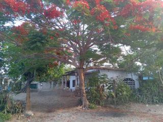 Venta de Terreno en el Pueblo de Anton Lizardo Alvarado Ver.