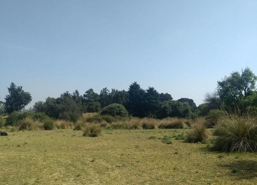 VENTA DE TERRENO $163,000.00 | Lamudi.com.mx