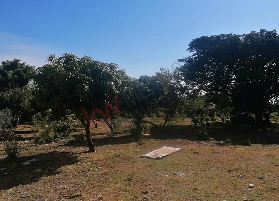 place photo 14