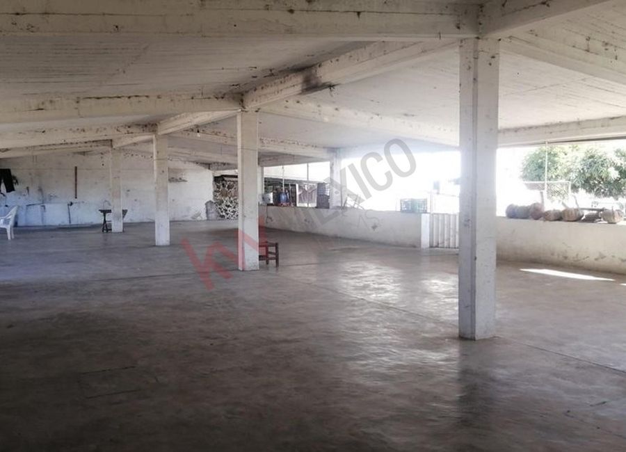 place photo 11