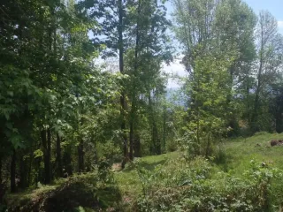 Terreno en venta en Tlacuilolan, Xico, Veracruz de Ignacio de la Llave