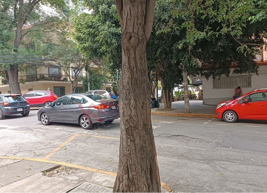 place photo 29