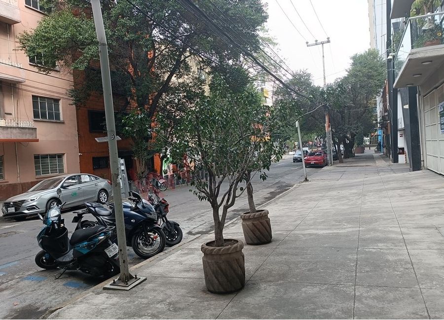 place photo 28