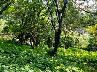Terreno en venta en Malinalco