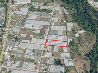 Terreno en venta, Coatepec Harinas, Estado de México