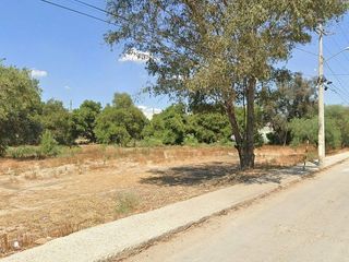 TERRENO EN RENTA EN LOMA ALTA TECATE