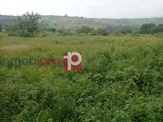 TERRENO EN VENTA EN YECAPÍXTLA MORELOS