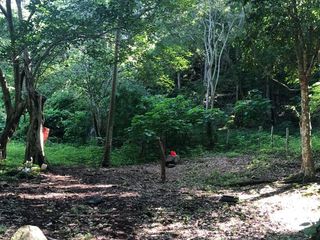 Terreno en venta, Higuera Blanca,  Bahía de Banderas, Nayarit