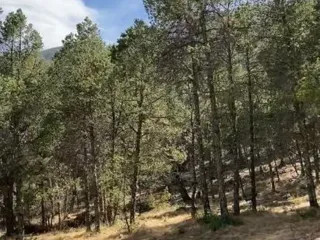 Terreno en venta en Arteaga Centro, Arteaga, Coahuila de Zaragoza