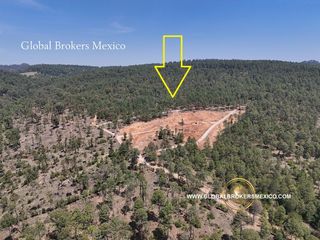 Terrenos en Venta, Loma Bonita, Ferreria de Tula, Atemajac de Brizuela, Jalisco.