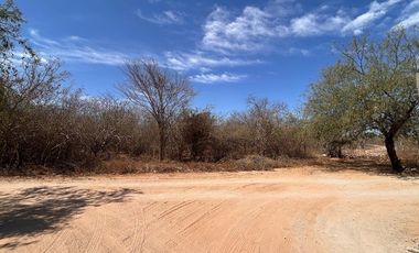 TERRENO EN VENTA SAN PEDRO!